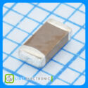 TCC1206X7R224K500DT