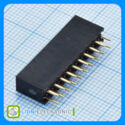 PBD-2.54-2X10GF